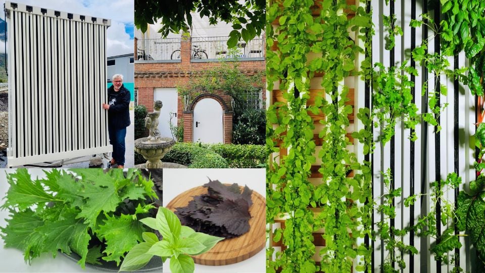 Die Indoor Farming Optionen im Überblick