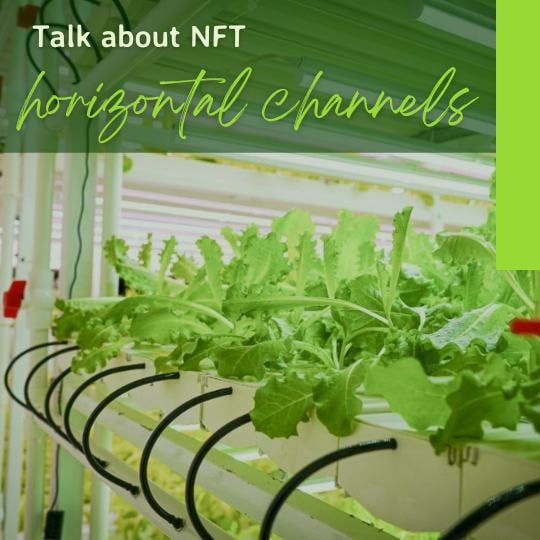 NFT farming for lettuce